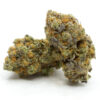 Agent Orange strain