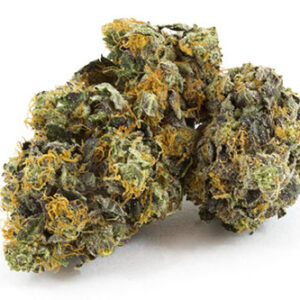 Black Domina