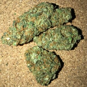 Bubble Gum CBD