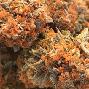 Cannatonic Strain