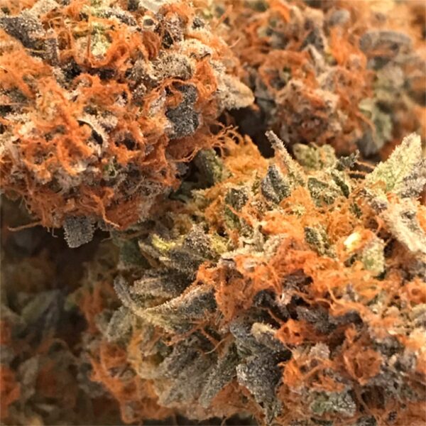 Cannatonic Strain