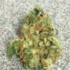 Casey Jones Strain
