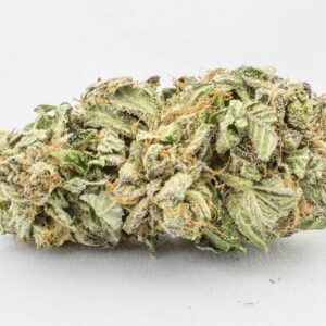Comatose Strain