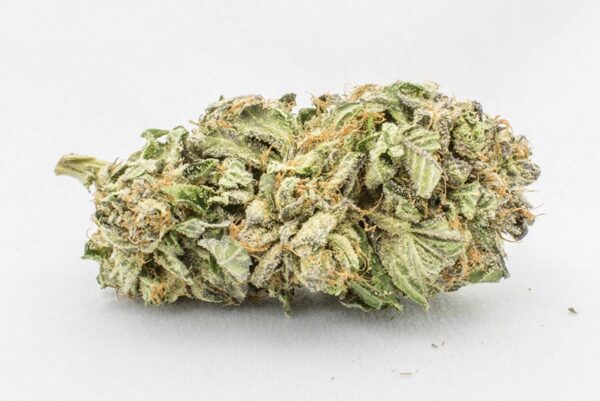 Comatose Strain