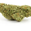 Critical Mass strain