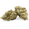 Dolato Strain