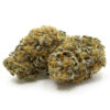 Durban Cookies Strain
