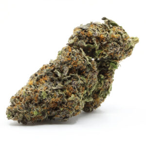 French Macaron Strain