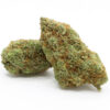 Gorilla Glue Strain