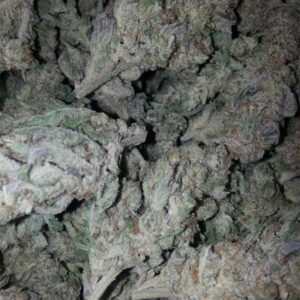 Khalifa Mints Strain