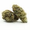 Night Rider strain