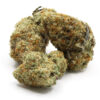 Animal Cookies