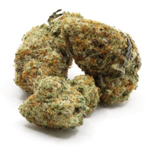 Animal Cookies