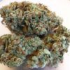 Silver Haze Strain