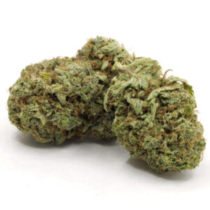 Thin Mint Weed Strain