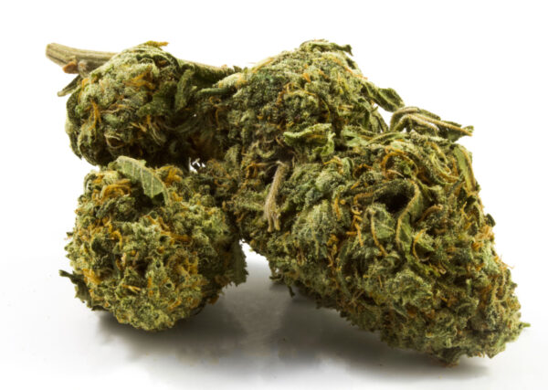 White Widow strain near me