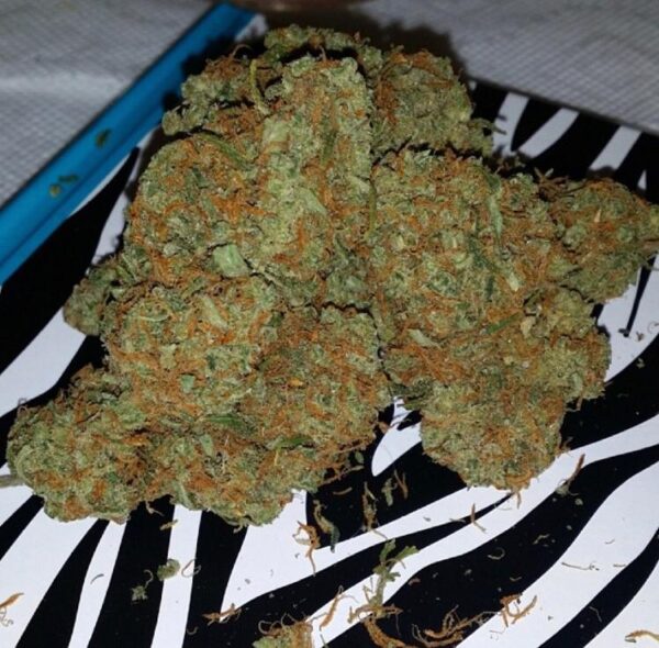 Bubba Kush CBD