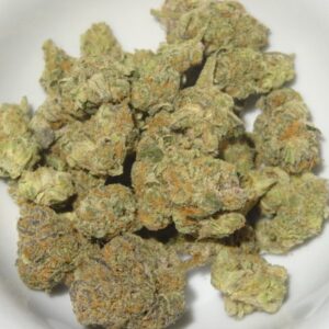 Candyland Strain