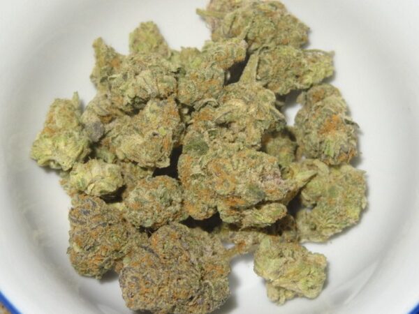 Candyland Strain