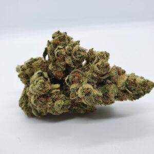 chocolope kush strain