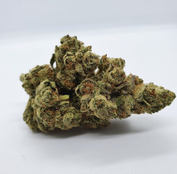 chocolope kush strain