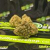 Zmoothie Strain